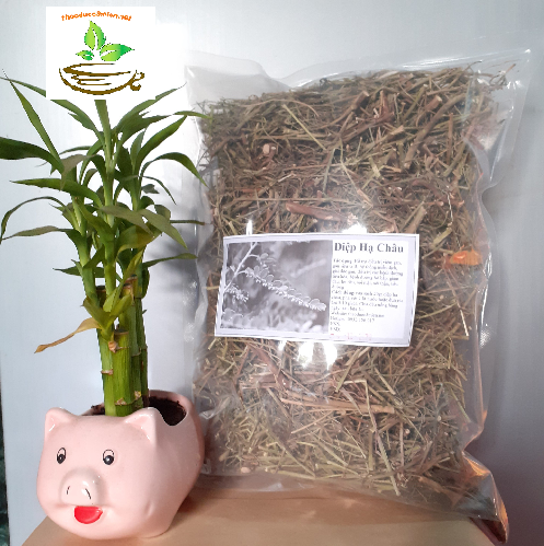 Diệp hạ châu 1kg