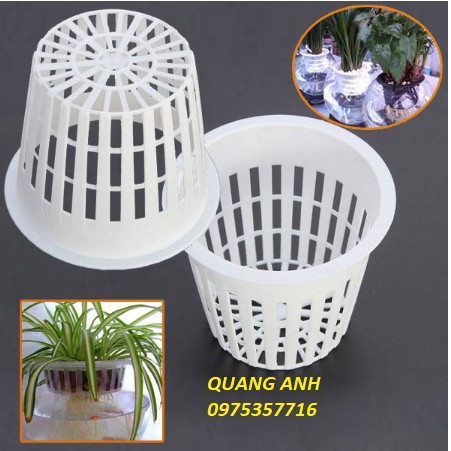 20 rọ thuỷ canh trồng cây - rau tại nhà tiện lợi