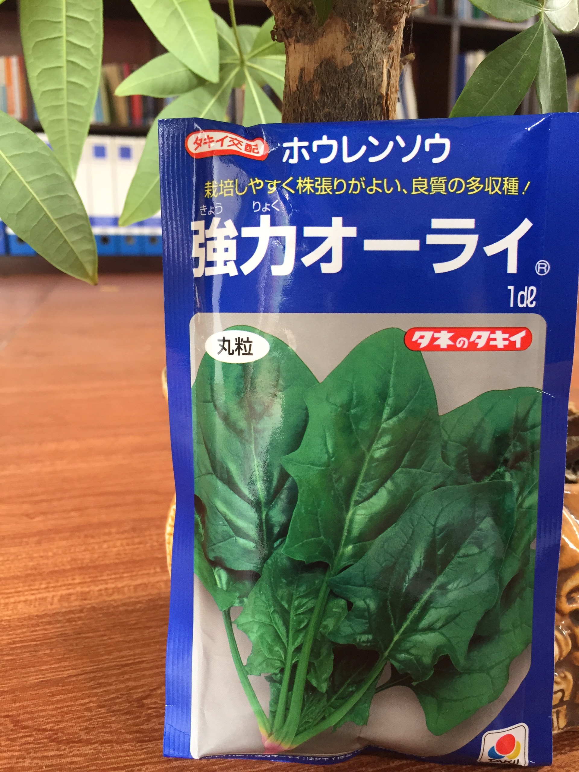 Hạt giống cải bó xôi Nhật Bản Takii POWERFUL ALL RIGHT ®, Gói 220 hạt, hương vị tuyệt vời