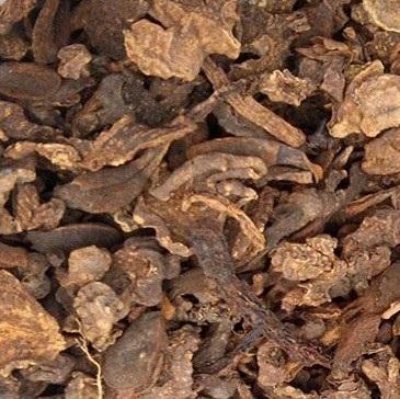 Nấm Ngọc Cẩu khô - rừng thiên nhiên Hà Giang 500g - Có Tặng Quà