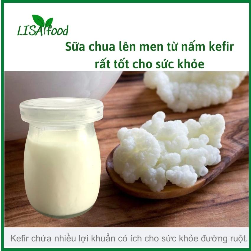 [Freeship]1 Phần nấm sữa Kefir + 1 rây lọc, nấm sữa làm sữa chua, rây (vợt) lọc bằng nhựa dùng lọc nấm, lọc trà hay lọc sữa hạt ...