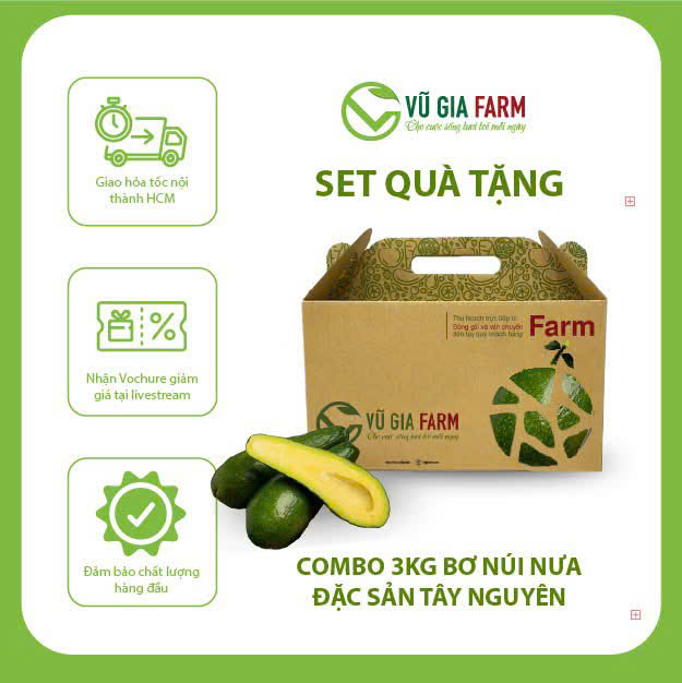 [HỎA TỐC HCM] GIỎ QUÀ TẶNG COMBO 3 - 5KG Bơ 034 Size 2-3-4 trái/kg Tây Nguyên Vũ Gia Farm - bơ sạch nhà trồng, thu hoạch trực tiếp tại vườn, cơm vàng sáp dẻo ngon lắm ạ