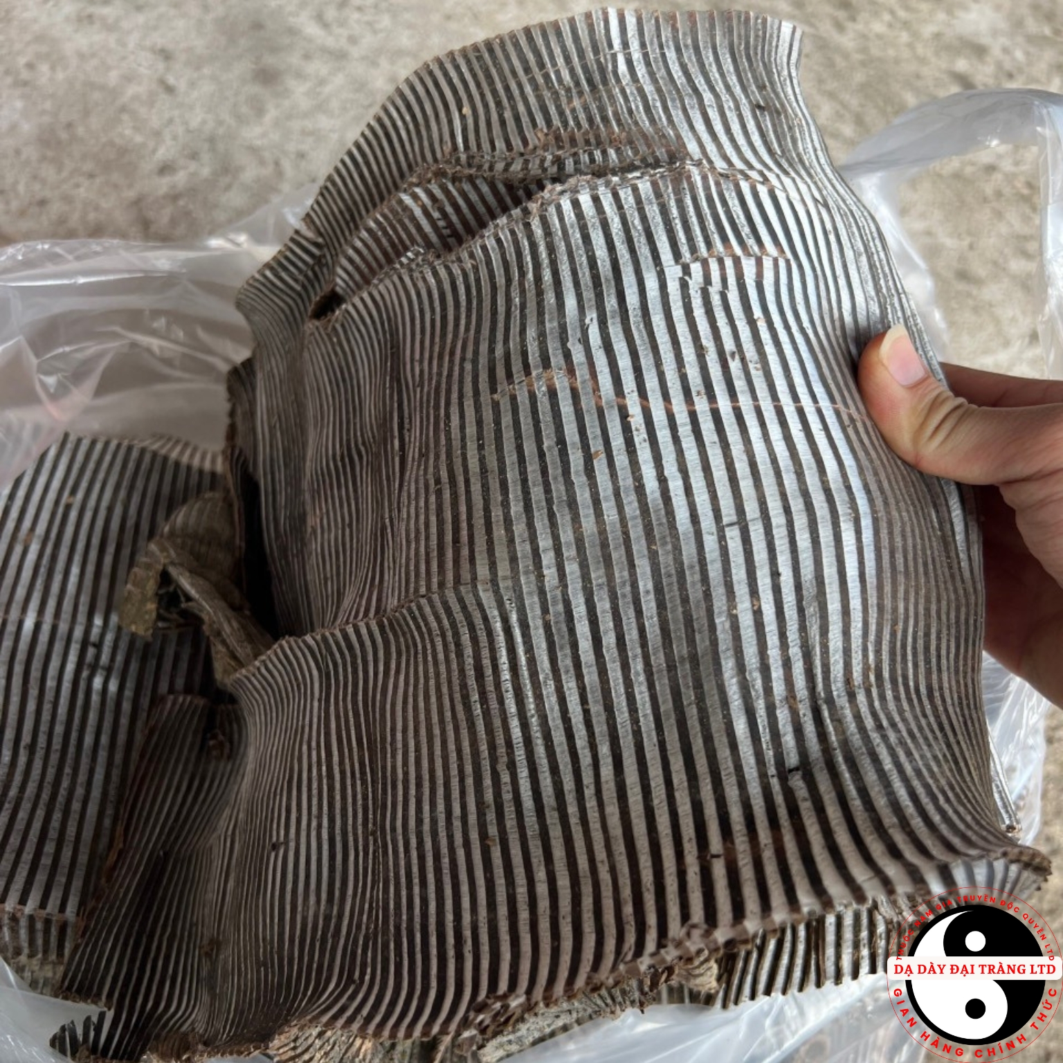 Vỏ cây Đỗ trọng bắc khô Sìn Hồ loại 1 Dược liệu đỗ trọng bắc nam giúp bổ thận tráng dương, mạnh gân cốt