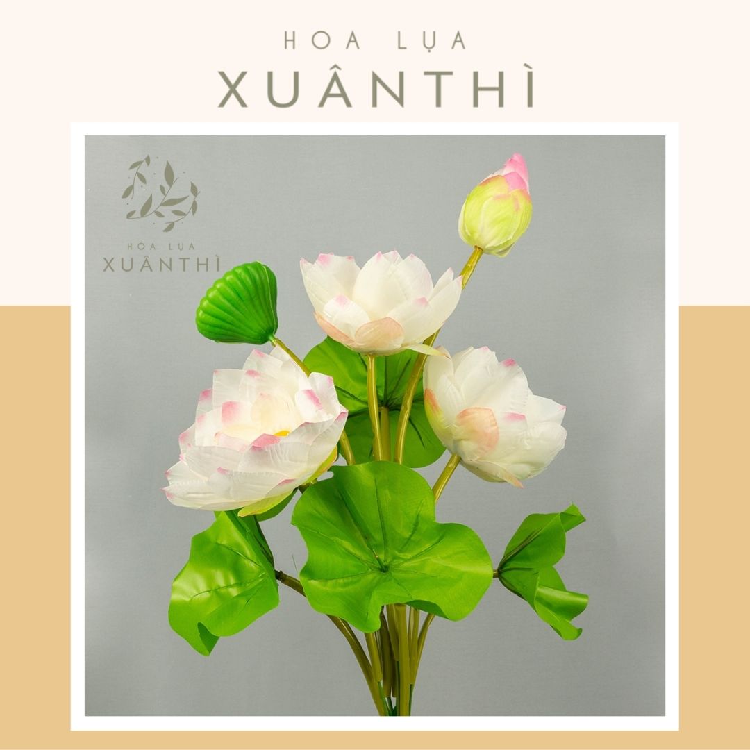 Cành sen nở trang trí decor nhiều màu - 1 cành 3 bông 1 nụ - hoa giả hoa lụa xuân thì - hl18