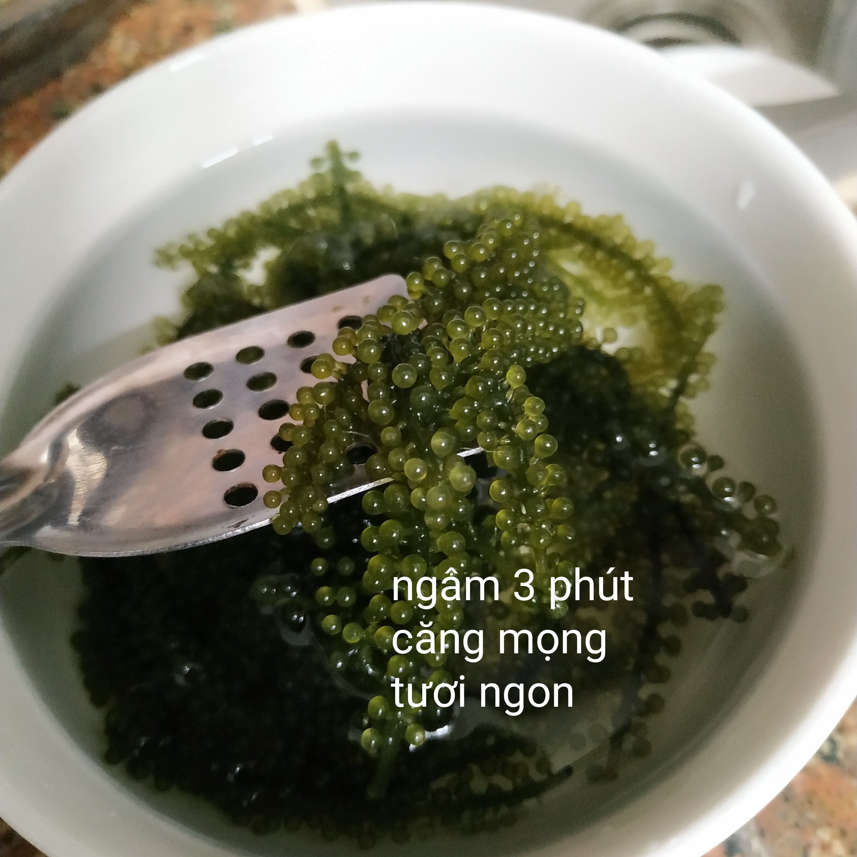 Rong nho - rong nho tách nước nha trang - gói 100g sản phẩm hoàn toàn tự nhiên - hàng Việt Nam chất lượng cao
