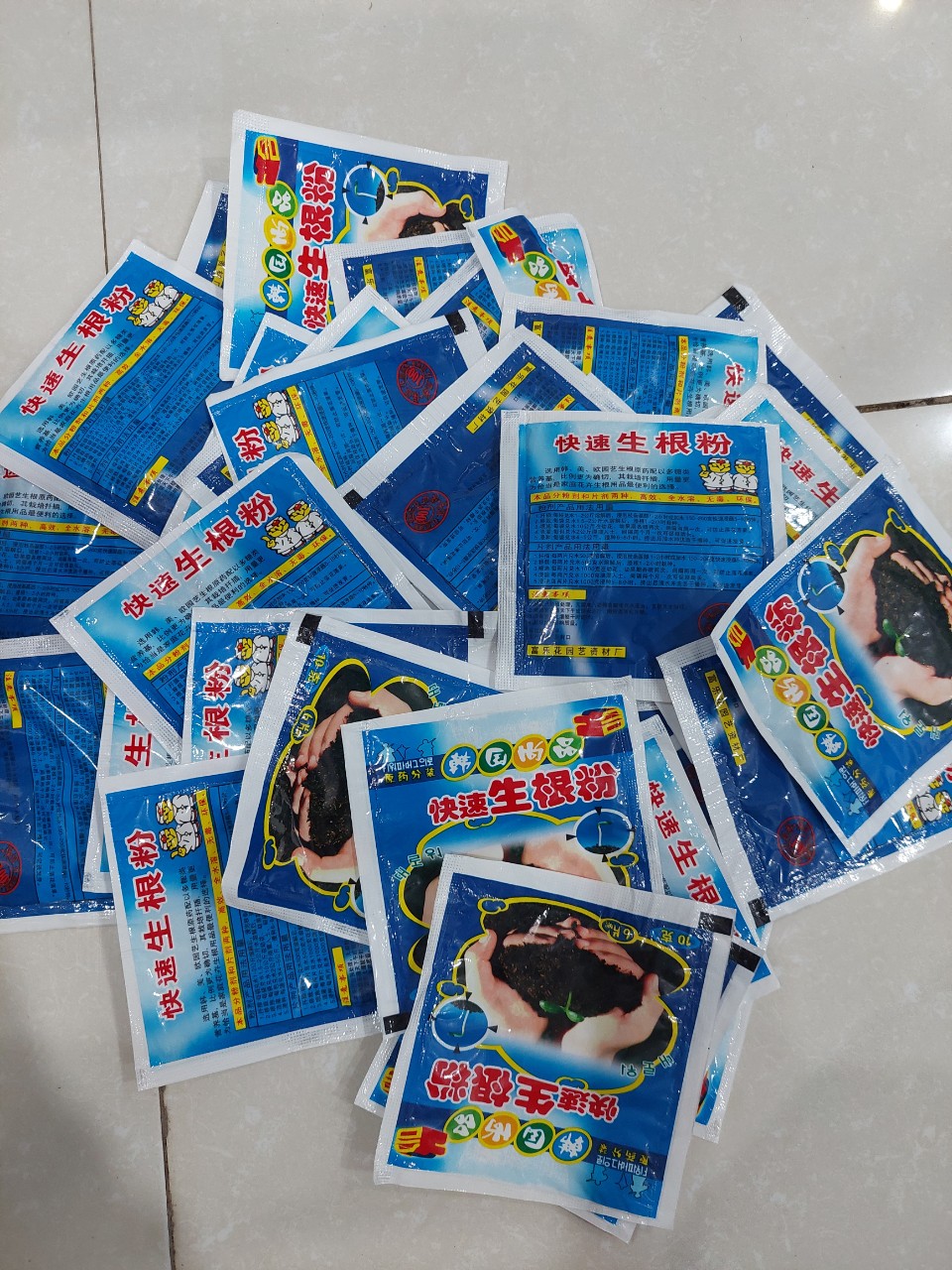 Thuốc kích rễ và kích nảy mầm hạt giống nhanh nảy mầm và ra rễ Thuốc kích rễ và kích nảy mầm hạt giống nhanh nảy mầm và ra rễ Thuốc kích rễ và kích nảy mầm hạt giống nhanh nảy mầm và ra rễ Thuốc kích rễ và kích nảy mầm hạt giống nhanh nảy mầm và ra rễ Sả