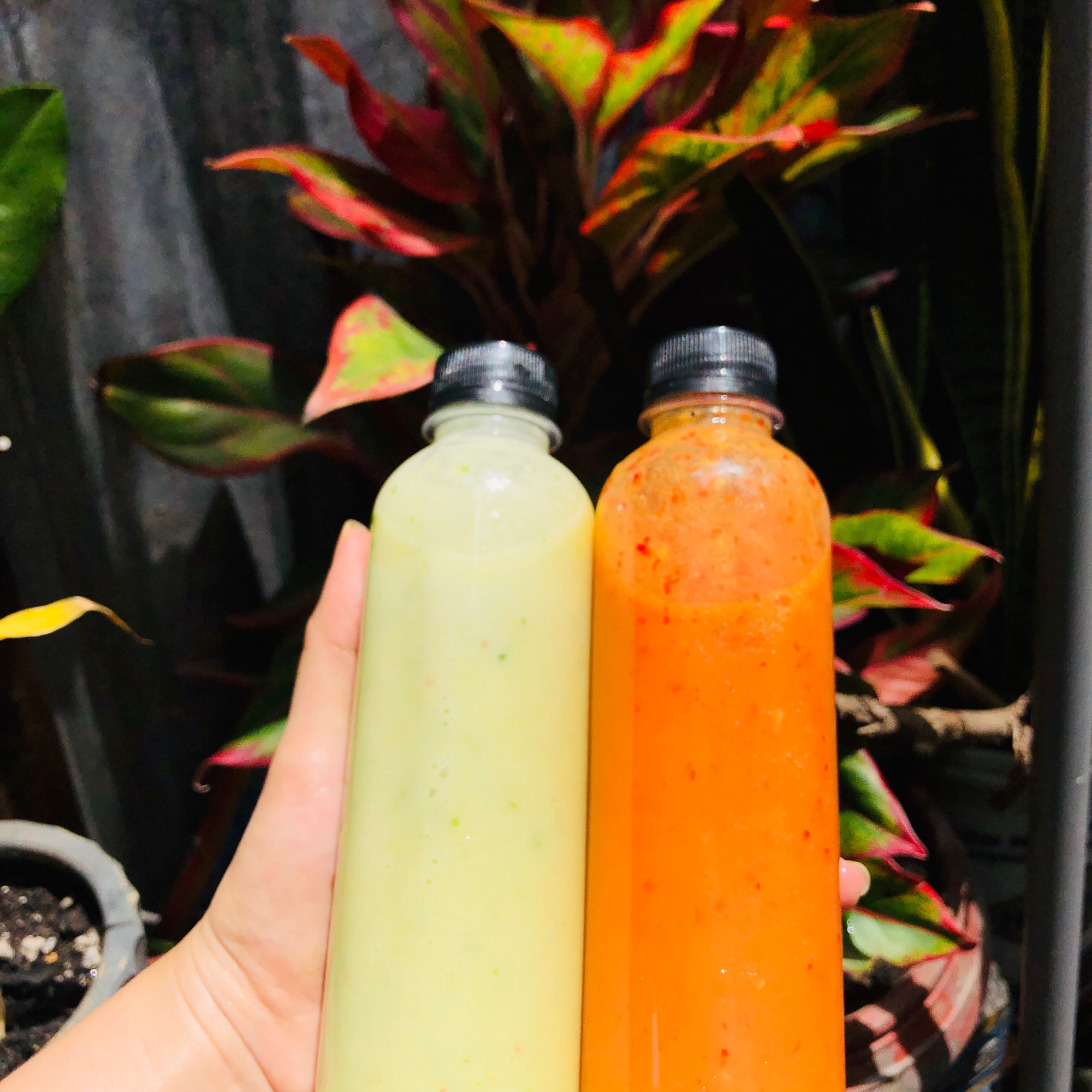 Nước chấm hải sản, đồ nướng (giao hàng khu vực Thành phố HCM - chọn giao hàng 4h hoặc lh 0347535976 để order) sản phẩm được đảm bảo, vì chọn gh tiêu chuẩn hơi lâu ạ 🥰