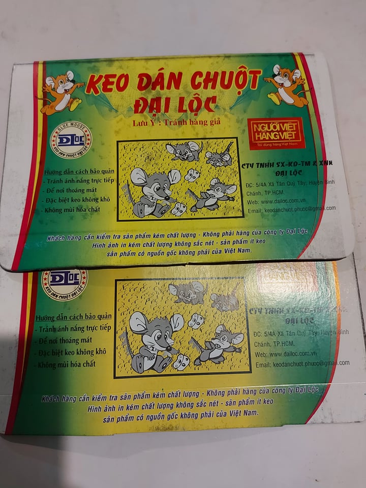 [HCM]Combo 2 Miếng Keo Dán Chuột Siêu Dính ĐẠI LỘC 30g