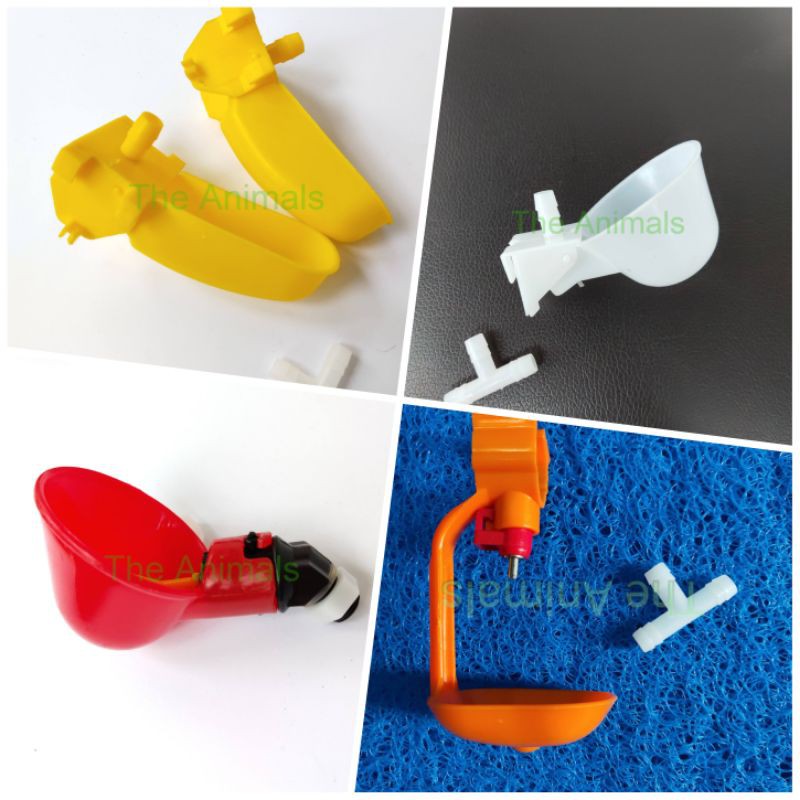 Các loại máng uống nước cho chim, gà - Uống nước tự động