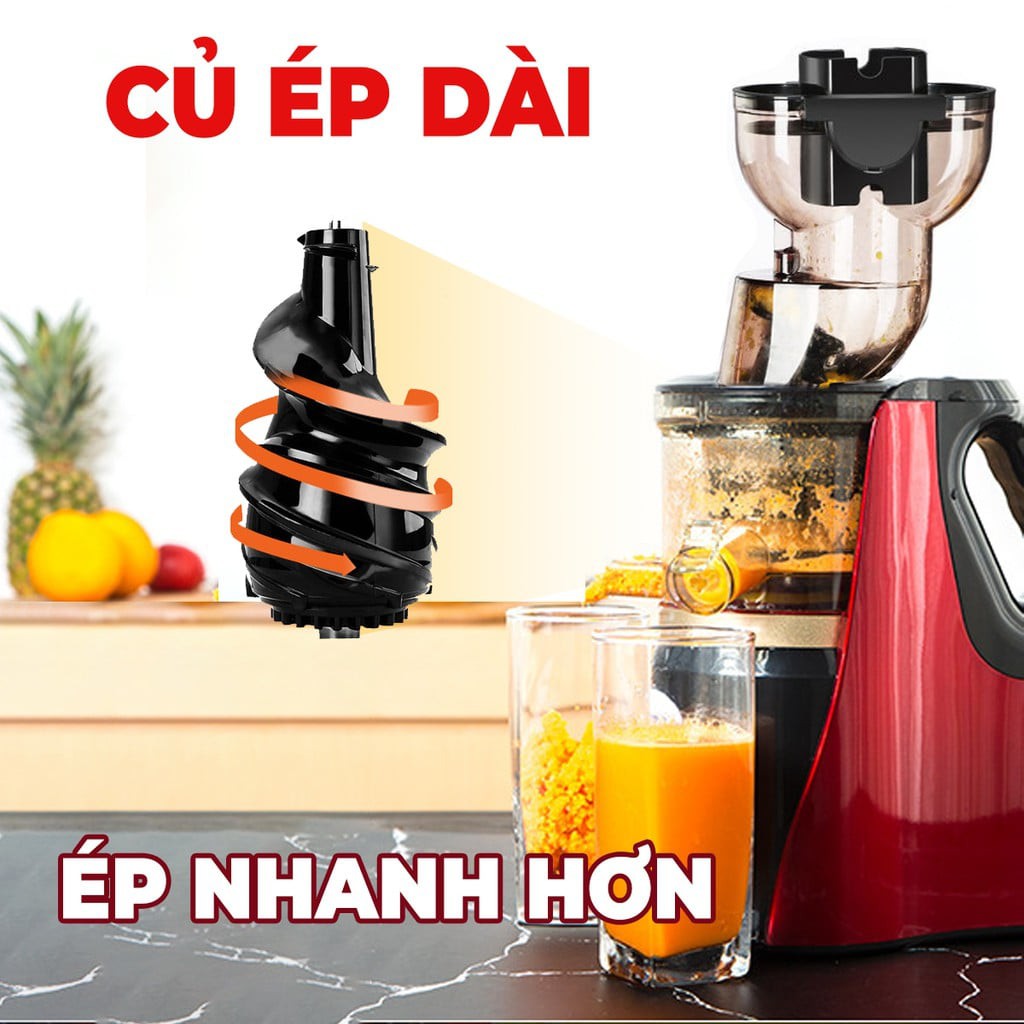 Máy ép chậm hoa quả/ Máy ép chậm hoa quảHongxing RH-312