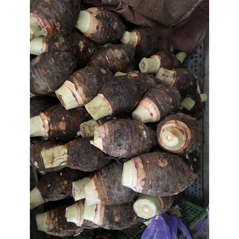 Khoai môn taro - giao toàn quốc & 2h tại tphcm