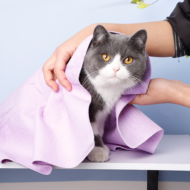 [HCM]Khăn siêu thấm hút nước cho chó mèo cao cấp đa dạng kích cỡ chất lượng đảm bảo và cam kết hàng như mô tả