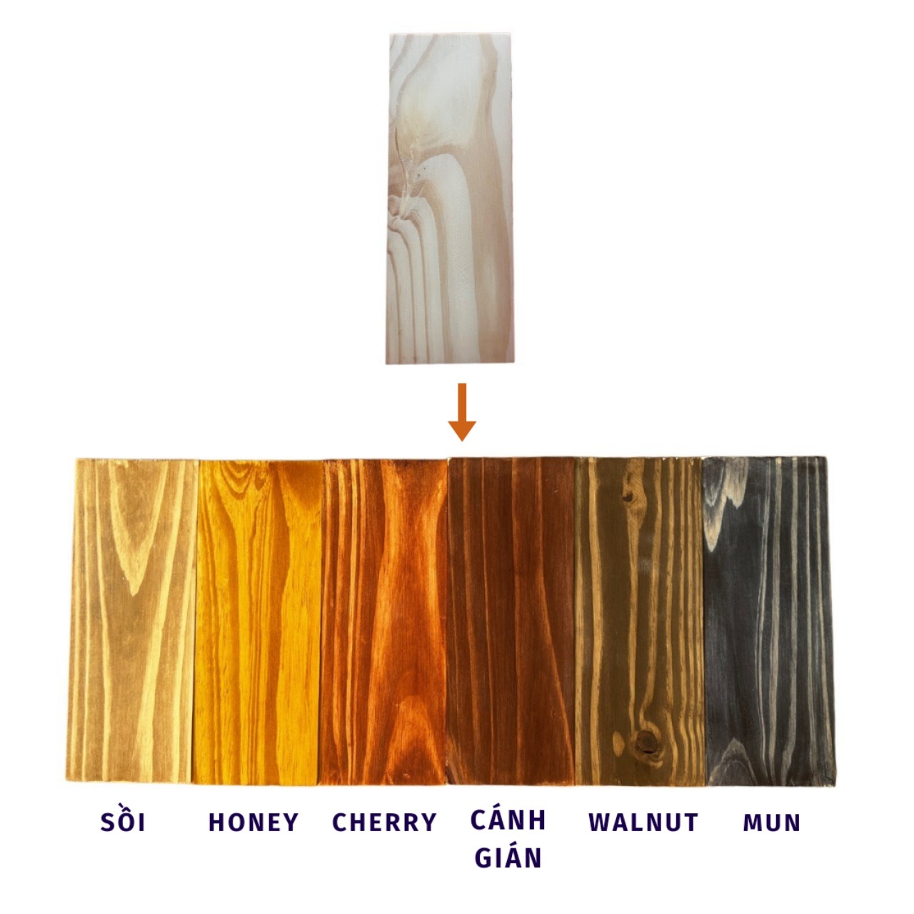 Màu lau gỗ 250g - Sơn màu gỗ tự nhiên Honey. Cherry, Wallnut, Cánh gián
