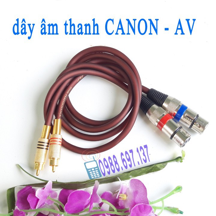 dây kết nối âm thanh Canon cái sang AV hoasen