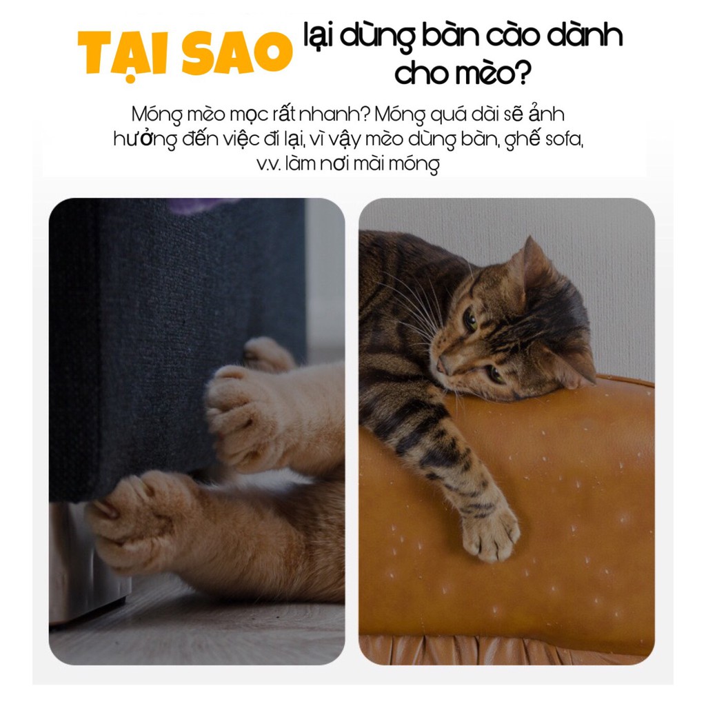 Cào móng kết hợp ổ nằm cho mèo