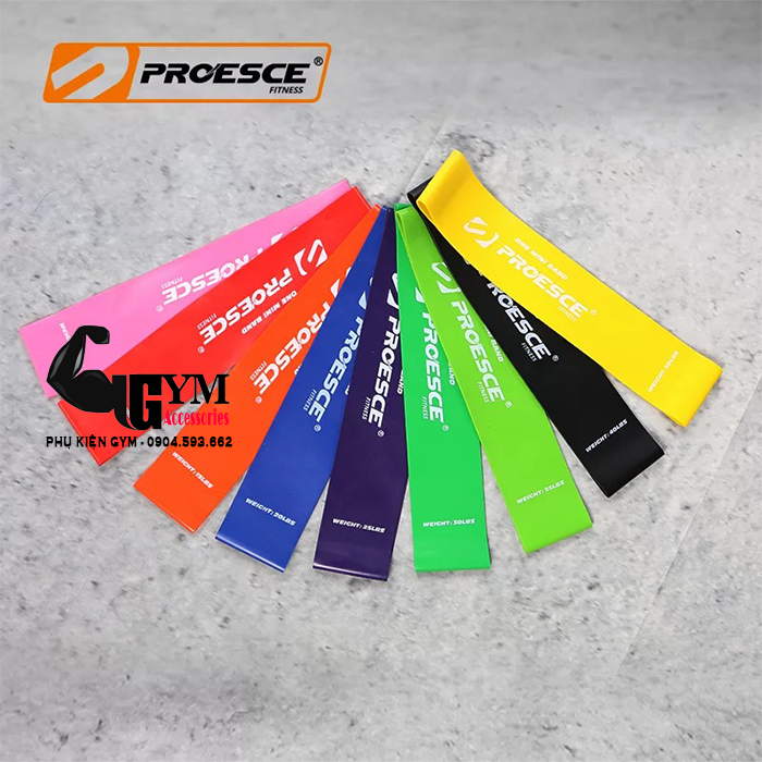 Dây Mini Band Proesce Fitness, Dây Kháng Lực Hỗ Trợ Tập Chân Mông Đùi