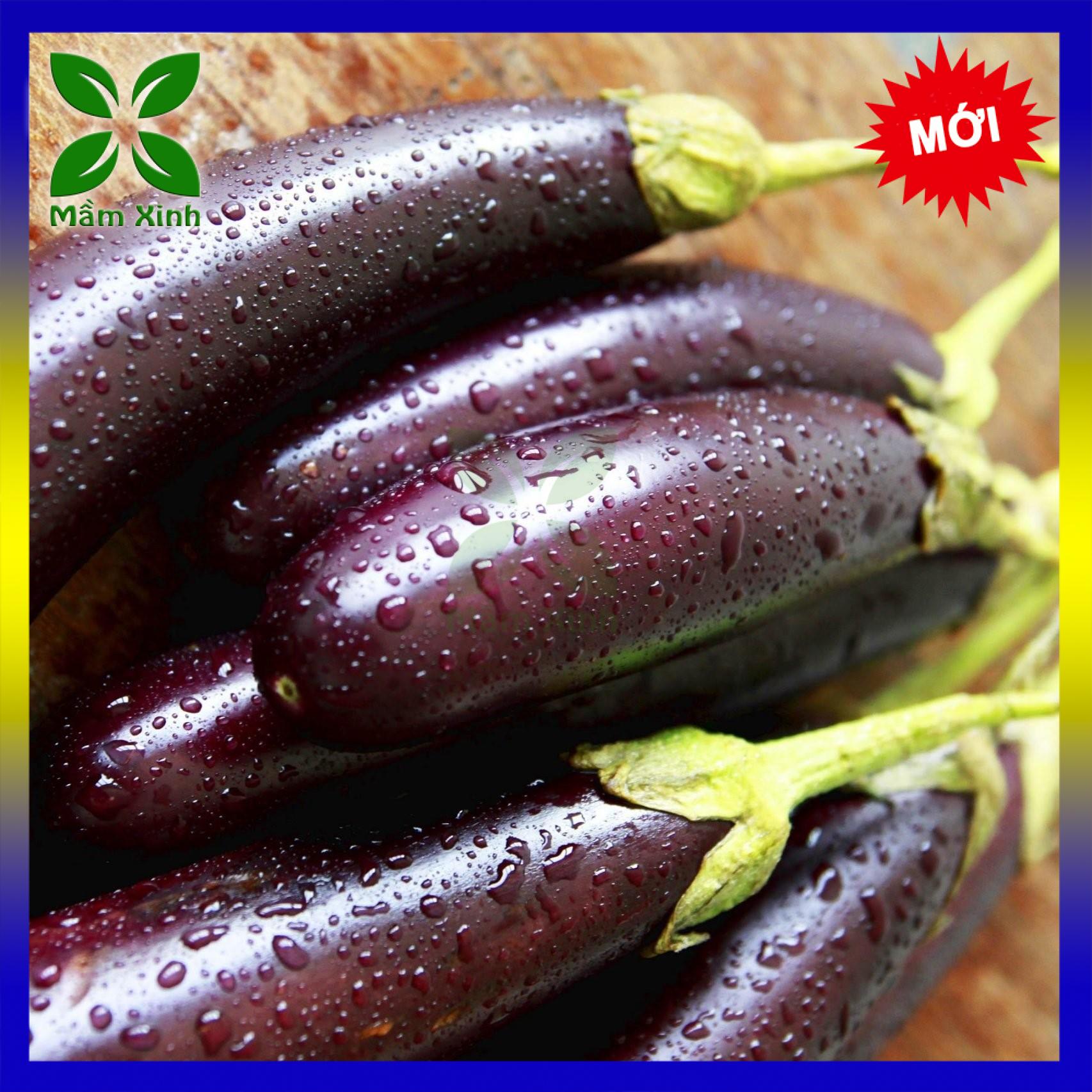 Hạt giống cà tím f1 tomawak gói 1g