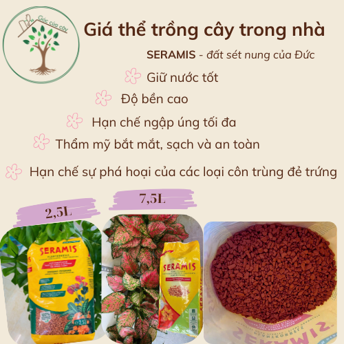 SERAMIS 2,5L, 7,5L Giá thể trồng cây trong nhà đất sét nung của Đức sạch sẽ, đẹp, an toàn