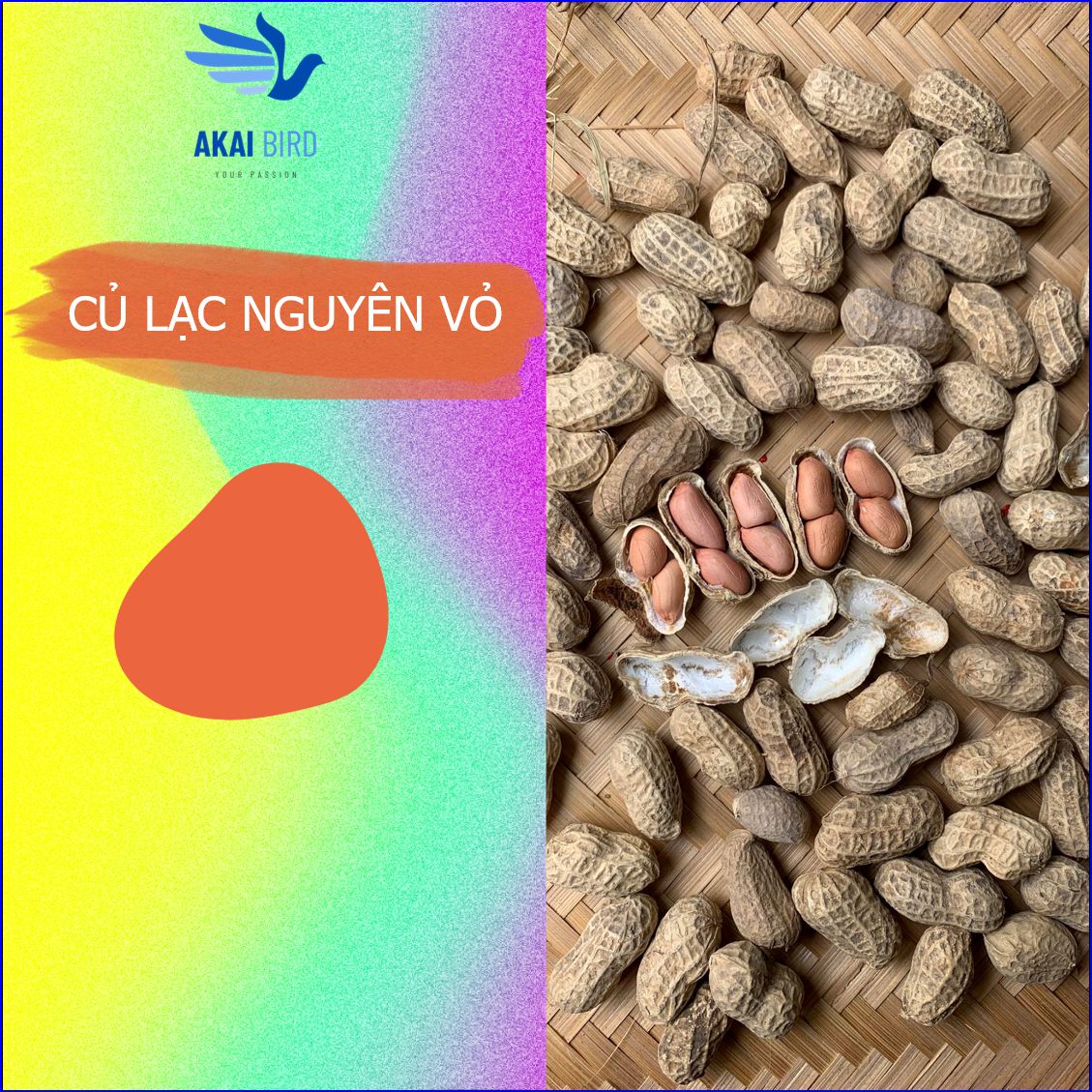 Củ lạc nguyên vỏ đã được phơi khô