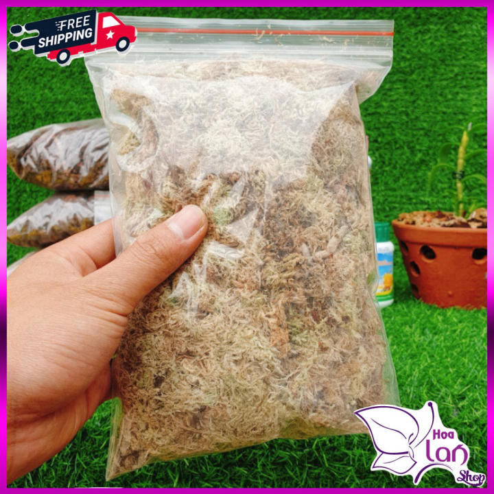 Dớn trắng chile rêu chile túi 100g giữ ẩm cực tốt cho lan