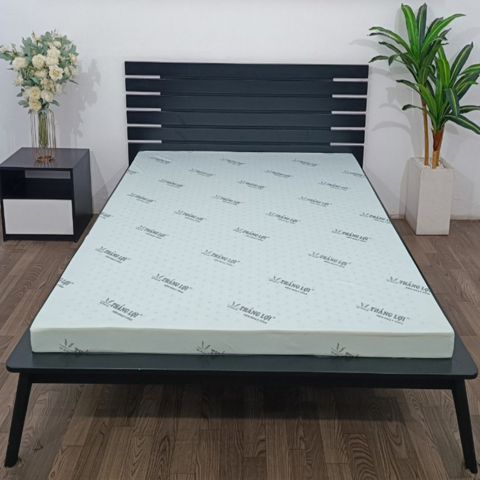 ( FREE SHIP HCM ) Nệm Cao Su Than Hoạt Tính Thắng Lợi kháng Khuẩn, Thoáng Mát Độ Bền Cao