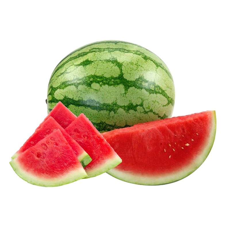 Hạt giống Dưa Hấu Đỏ Không hạt thái lan