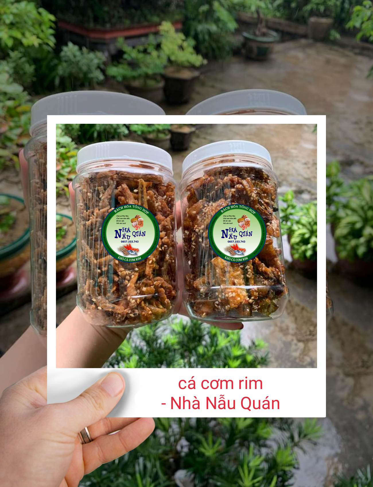 Khô cá cơm tẩm