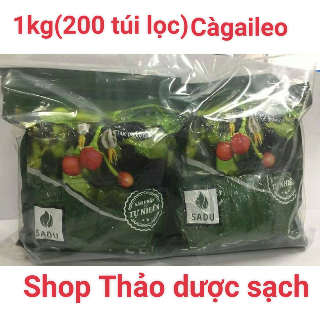 Trà túi lọc cà gai leo bịch 1kg -sp hút chân không