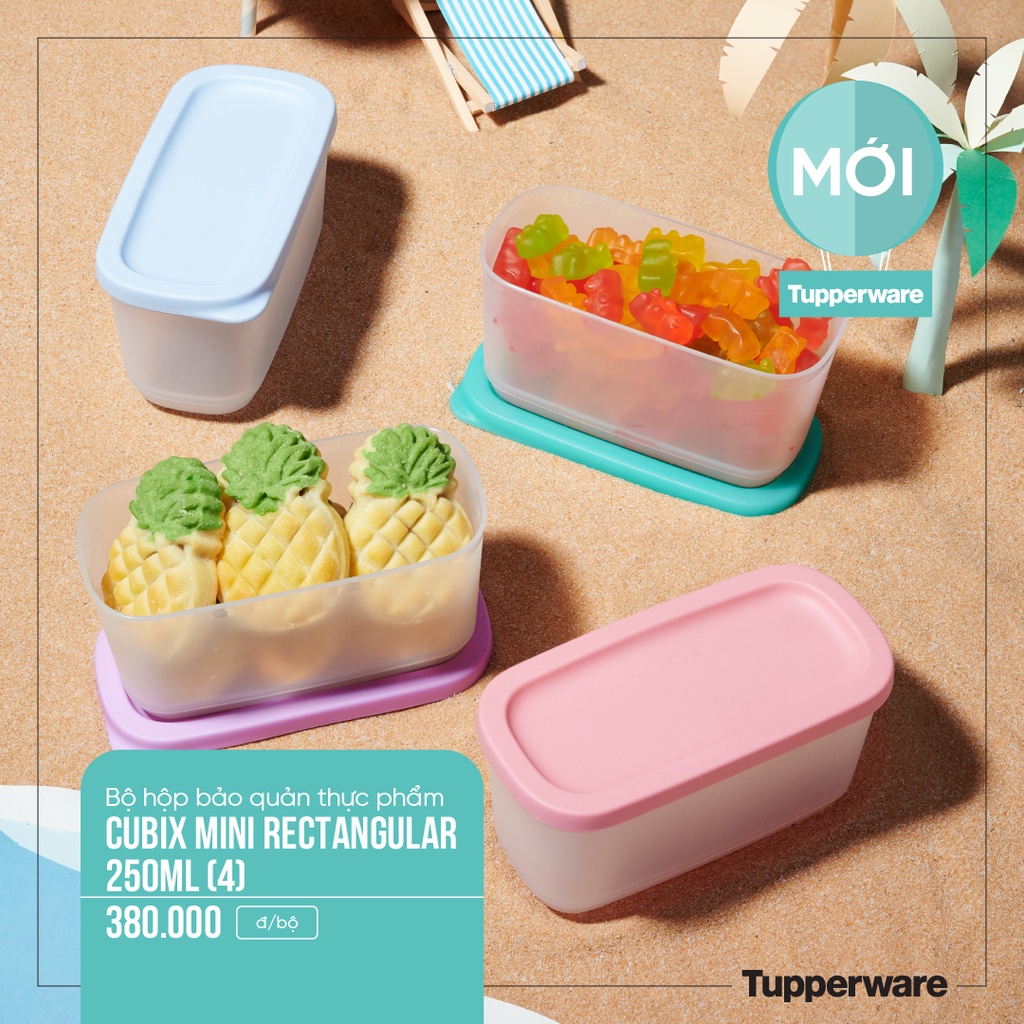 Hộp bqtp ngăn mát và trữ khô mini rect 250ml