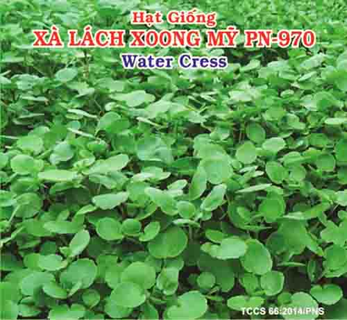 [HCM]XÀ LÁCH XOONG MỸ PN-970-gói 1 gram .