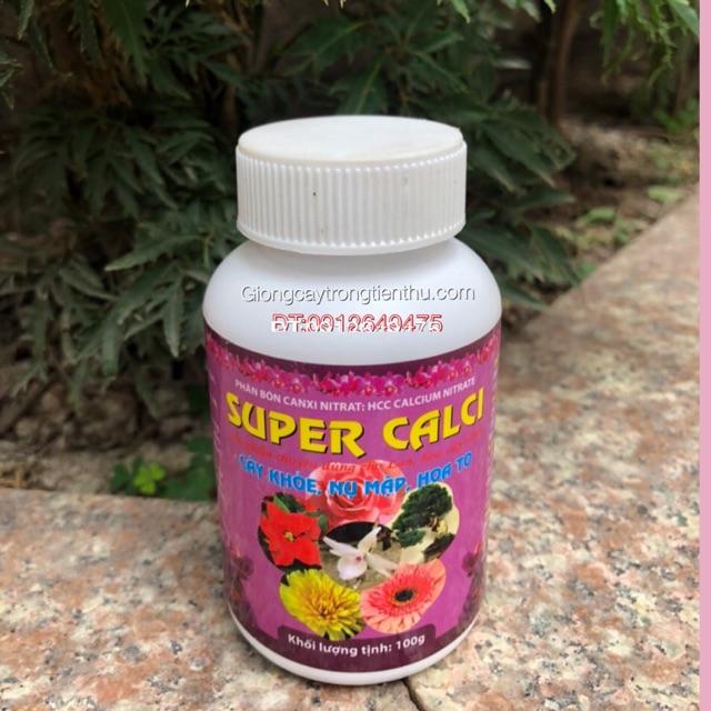 SUPER CANXI - SUPER CALCI - CÂY KHỎE - NỤ MẬP - HOA TO - HỘP 100GR