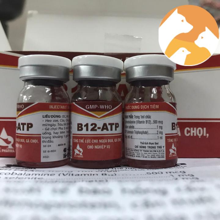 Thuốc gà đá B12 ATP [hộp 10 lọ x 5ml] Tăng thể lực gà đá, ngựa đua.