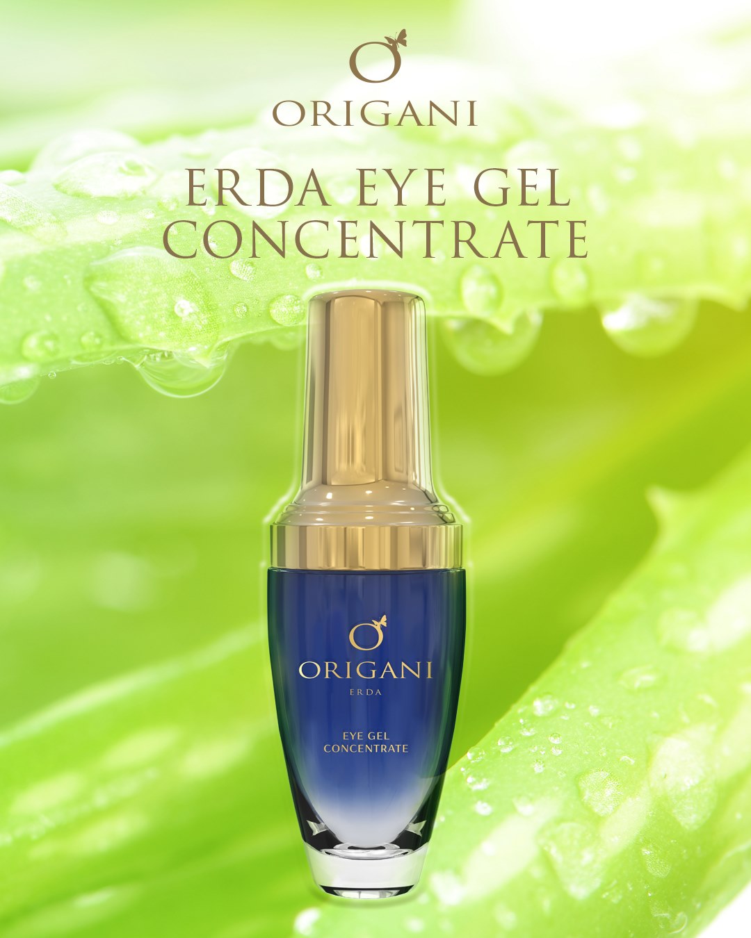 Gel Dưỡng Mắt Cô Đặc Origani Erda Eye Gel Concentrate 30ml Có chứng