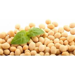 1kg hạt đậu nành sấy hàng loại 1