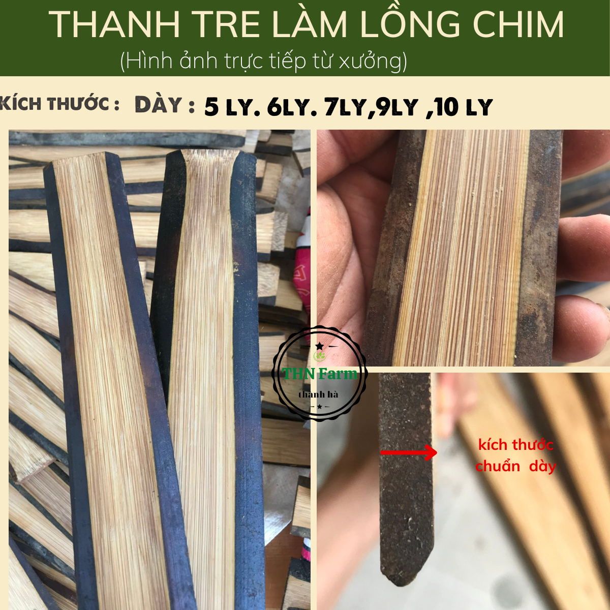 Thanh tre làm lồng chim chào mào tre già đã qua xử lý mối mọt bào nhẵn hai mặt