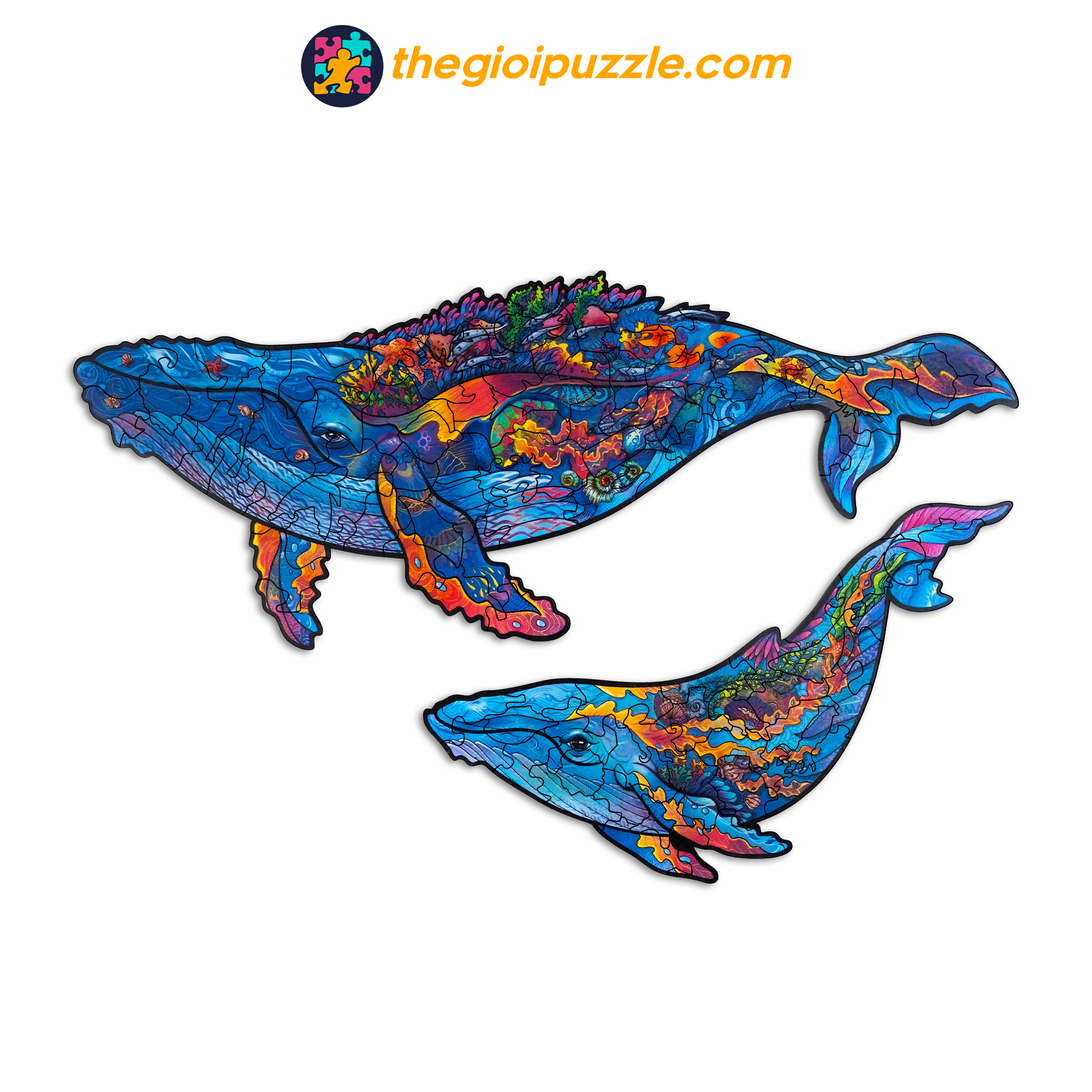 Bộ xếp hình gỗ đồ chơi puzzle ghép hình con vật độc đáo - Con Cá Heo
