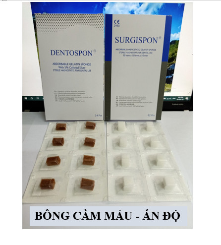 Bông cầm máu Ấn Độ