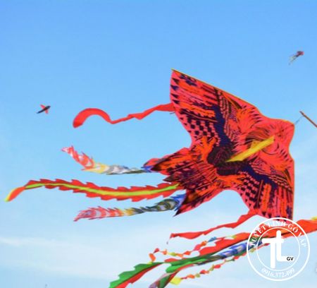 Diều đại điêu size đại có ảnh thật - giá tải xưởng