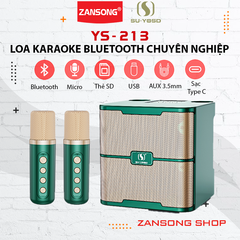 Loa karaoke bluetooth 2 mic không dây YS-213 âm thanh hay thiết kế hiện đại-Zansong