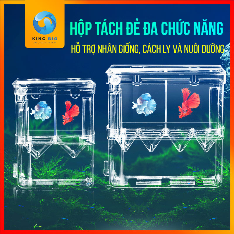 Lồng tách cá đẻ, lồng dưỡng cá, lồng cách ly cá ra riêng Yee