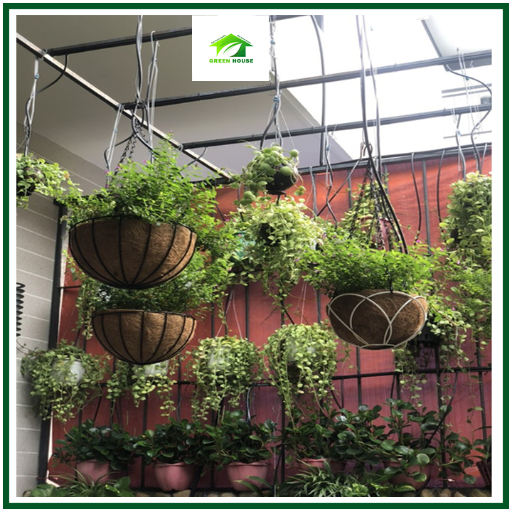 Chậu hoa xơ dừa treo tròn phi 29-30cm