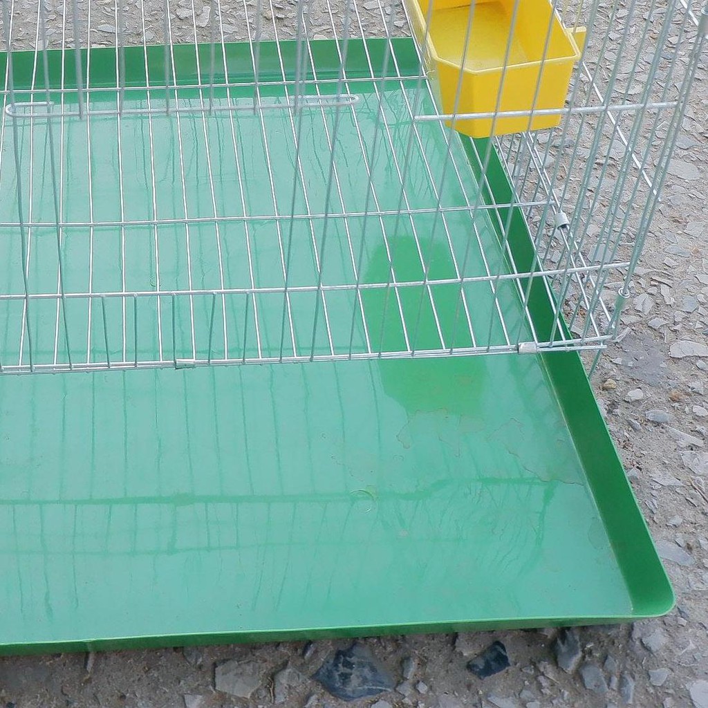 khay nhựa hứng phân 50x50, 50x60,50x55 cho lồng nuôi chim, gà, chó,mèo vua nhựa