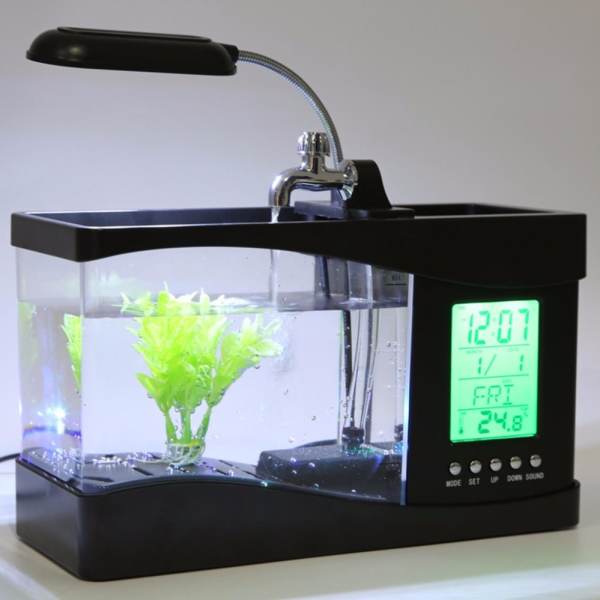 King Aquarium - Bể cá thế hệ mới Phụ kiện cá cảnh Bể cá thuỷ sinh cao cấp King Aquarium King Aquarium - Bể cá thế hệ mới Phụ kiện cá cảnh King Aquarium - Bể cá thế hệ mới King Aquarium - Bể cá thế hệ mới