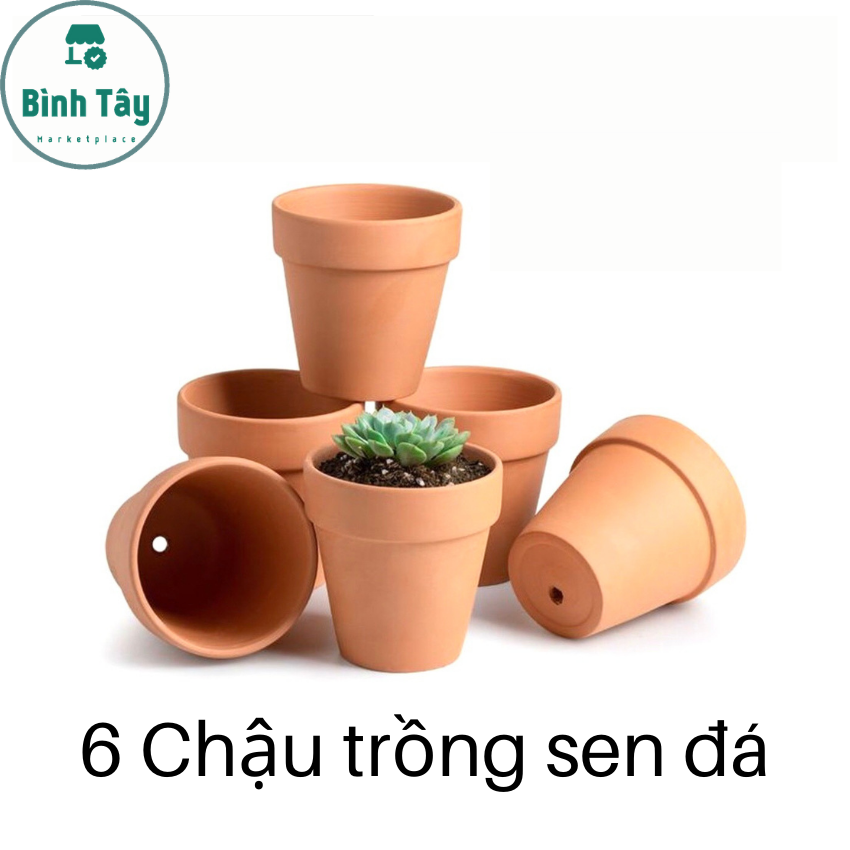 [HCM]6 chậu gốm trồng sen đá trong nhà hàng VIỆT NAM xuất khẩu BT-G025