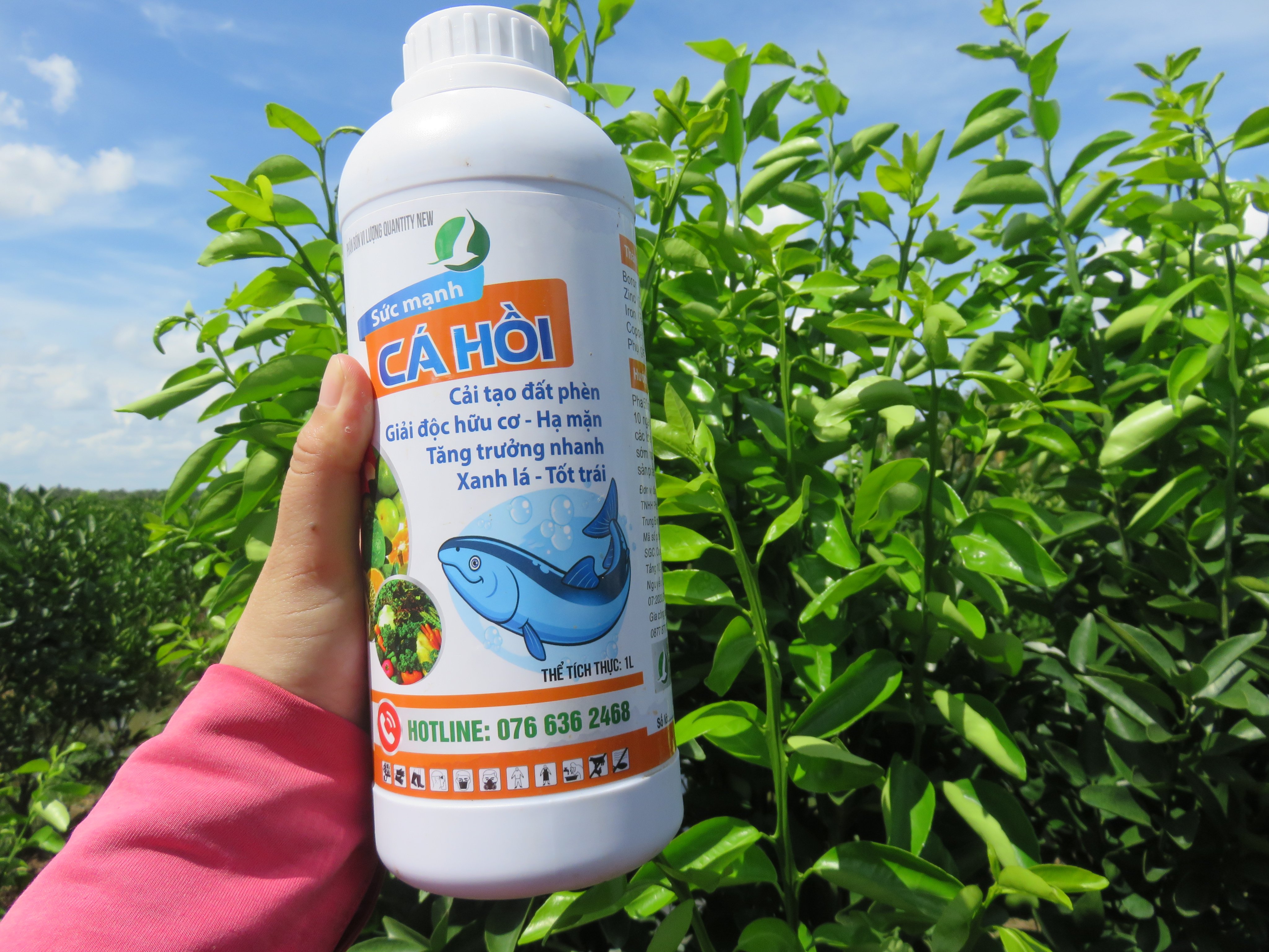 Sức mạnh cá hồi , đạm cá hồi, phân bón cải tạo đất, giảm mặn