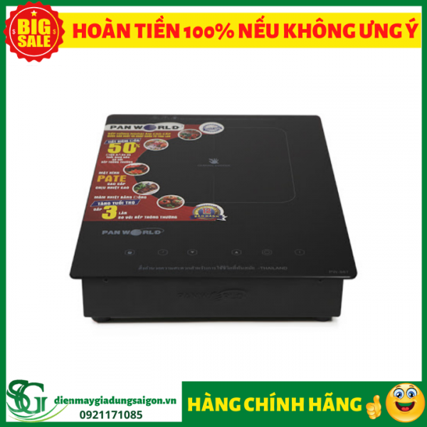 Bếp hồng ngoại đơn âm Panworld PW-867