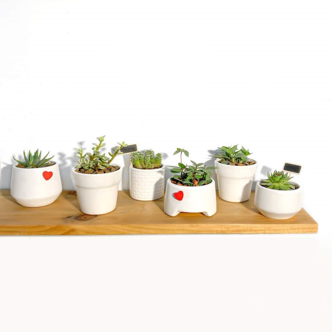 Kệ gỗ treo tường 1 thanh ngang gỗ tự nhiên 50x13cm