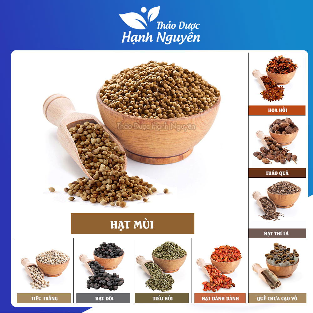 Hạt Ngò Khô / Hạt Mùi (Coriander Seed) 100g Làm Gia Vị Cho Món Ăn Thơm Ngon Bổ Dưỡng