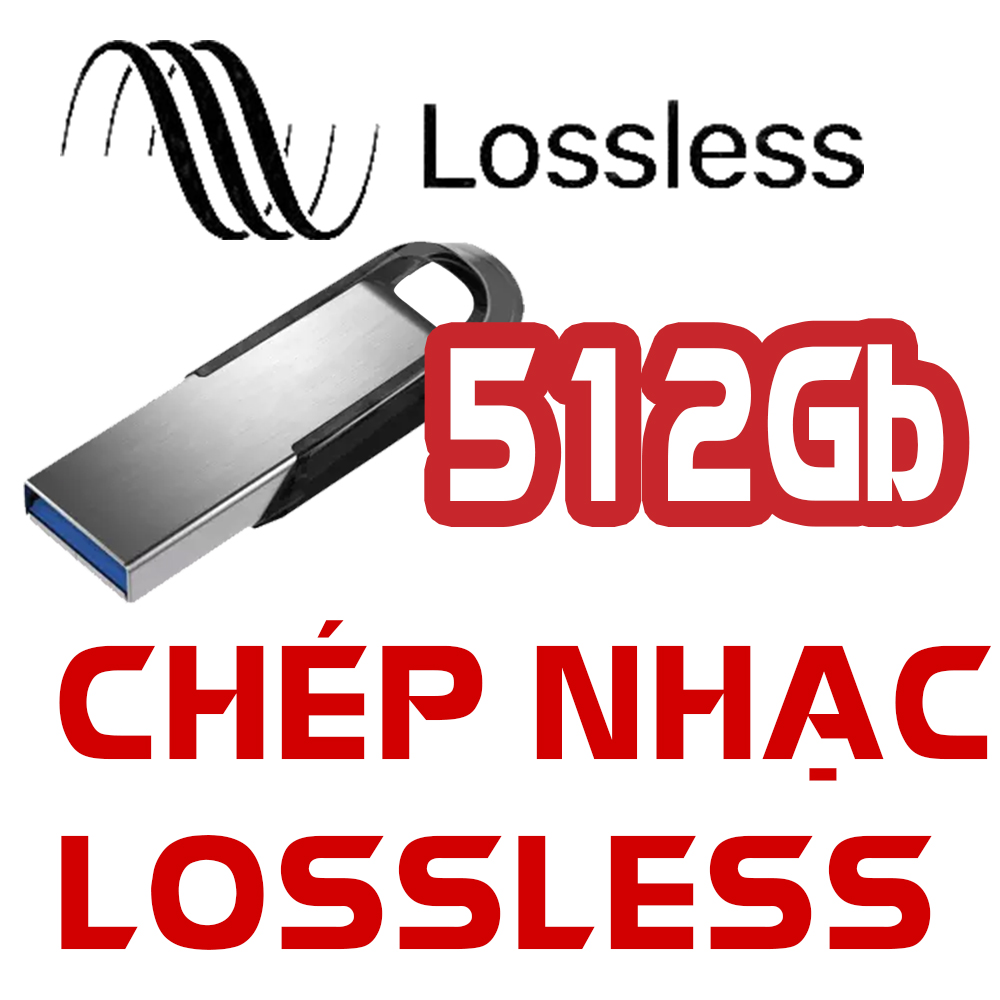 Chép nhạc chất lượng cao - Bán kèm thiết bị lưu trữ USB
