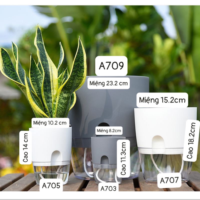 Chậu Trồng Cây Thuỷ Sinh Để Bàn Oliz A7- tự tưới nước cho cây. Trang trí văn phòng, bàn làm việc